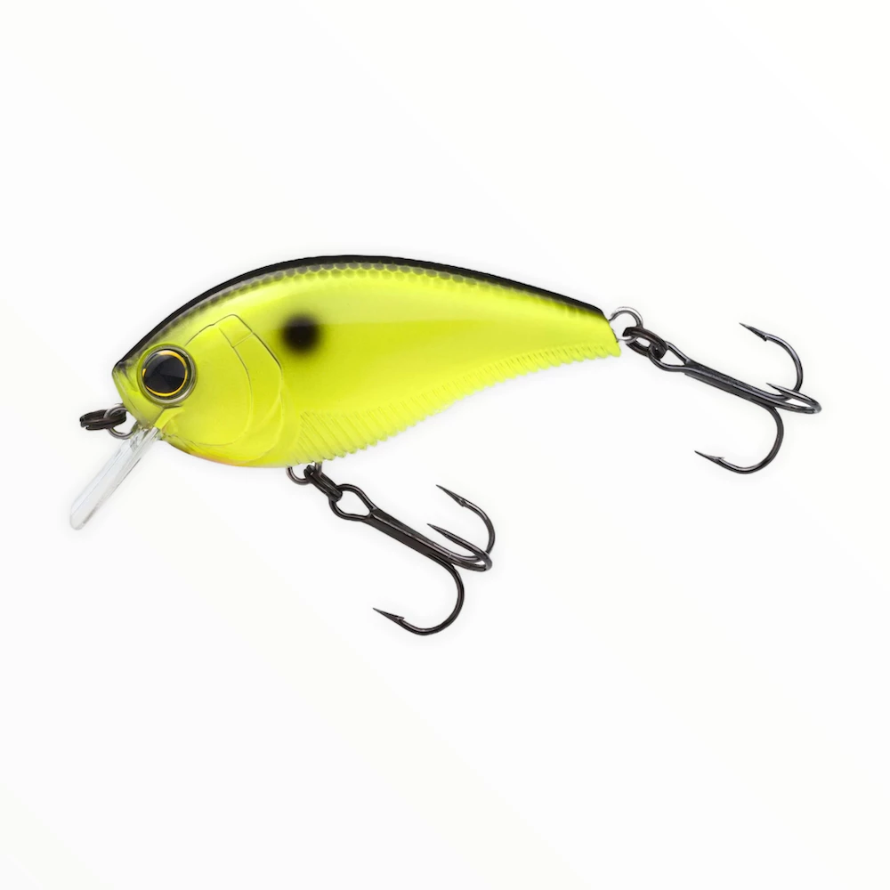 Yo-Zuri 3DB 1.5 Squarebill Crankbait 5 Yo-Zuri 3DB 1.5 Squarebill Crankbait