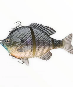 Savage 3D Bluegill