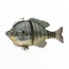 Savage 3D Bluegill
