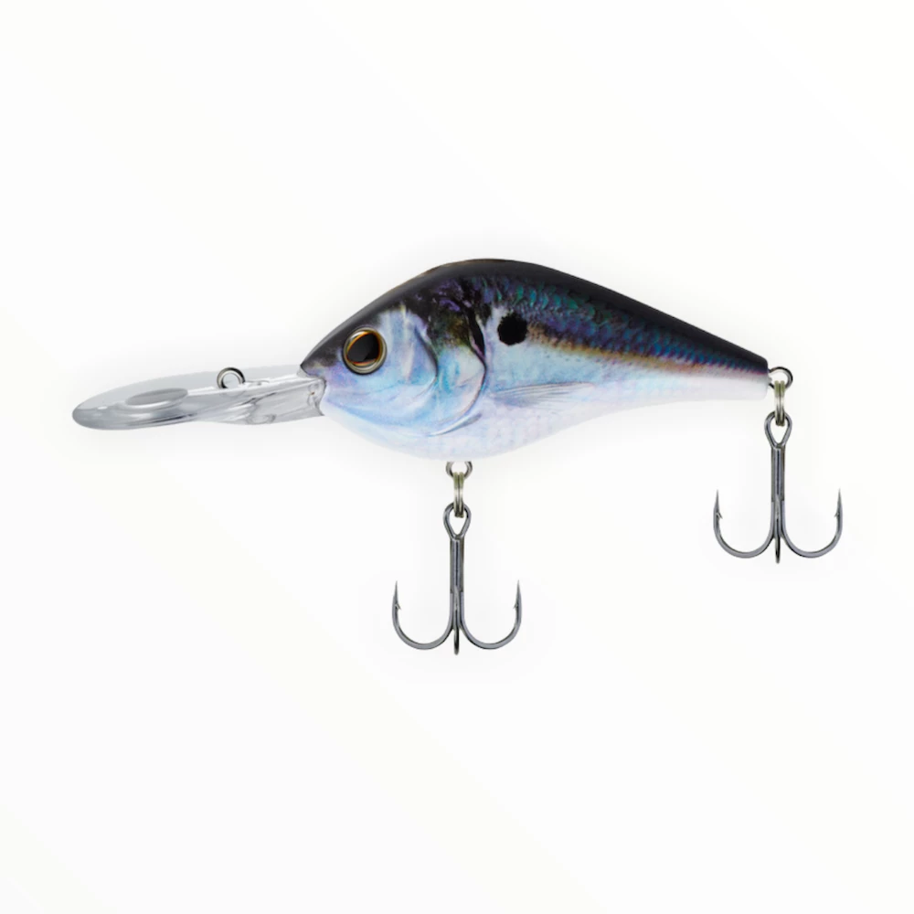 Berkley Dredger 10 Berkley Dredger