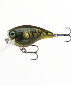 Rapala BX Brat Hard Baits