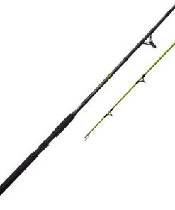 Zebco Big Cat 7' Spinning Rod Rods And Reels