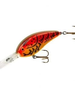Bomber Fat Free Shad BD5 Hard Baits