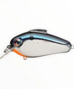 Bill Lewis Echo 1.75 Hard Baits