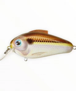 Bill Lewis Echo 1.75 Hard Baits