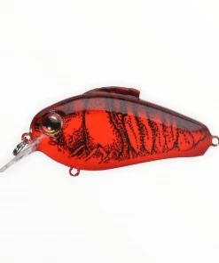 Bill Lewis Echo 1.75 Hard Baits