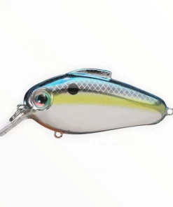 Bill Lewis Echo 1.75 Hard Baits