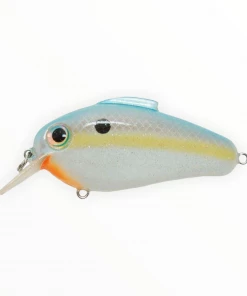 Bill Lewis Echo 1.75 Hard Baits