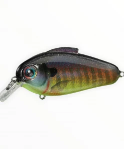 Bill Lewis Echo 1.75 Hard Baits