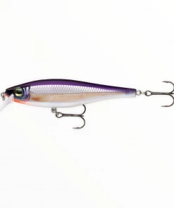 Hard Baits Rapala BX Minnow