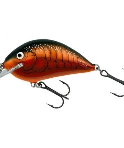 Bagley Pro Sunny B 07