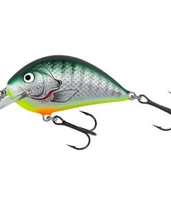 Bagley Pro Sunny B 07