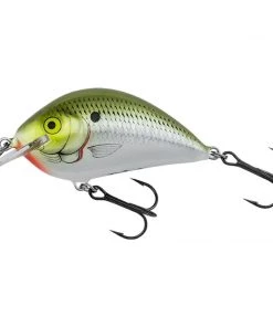 Bagley Pro Sunny B 07