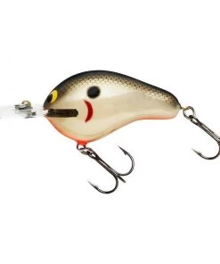 Hard Baits Bagley Diving Balsa B