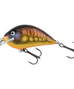 Bagley Pro Sunny B 07