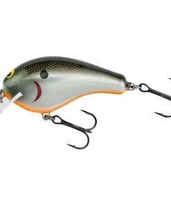 Bagley Balsa B3 3D Hard Baits
