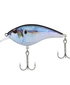 Hard Baits Berkley Frittside