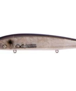 Jerkbaits Jackall Rerange Jerkbait