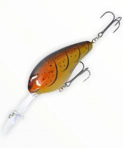 Norman DD 22 And DD 14