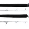Rods And Reels Daiwa Sealine Casting Rod