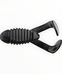 Gambler Cane Toad Frogs