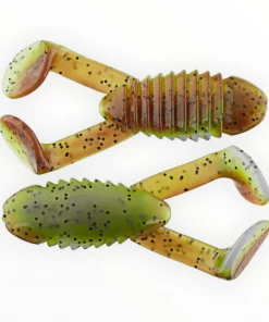 Gambler Cane Toad Frogs