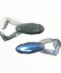 Gambler Cane Toad Frogs