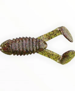 Gambler Cane Toad Frogs