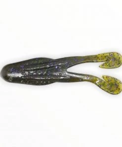 Frogs Zoom Horny Toad