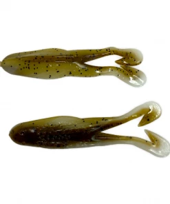 Frogs Zoom Horny Toad