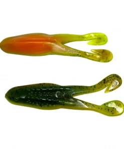 Frogs Zoom Horny Toad