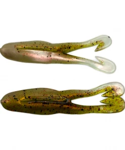 Frogs Zoom Horny Toad