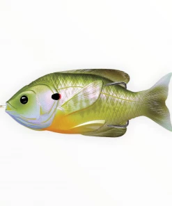 Live Target Hollow Body Sunfish