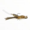 Live Target Shrimp