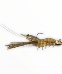 Live Target Shrimp
