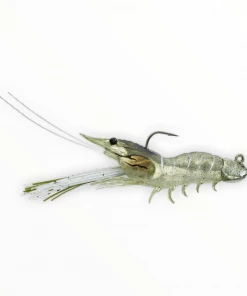 Live Target Shrimp