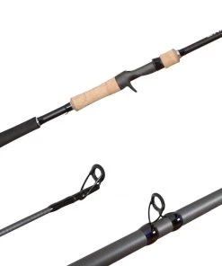 Shimano Exage Casting Rod