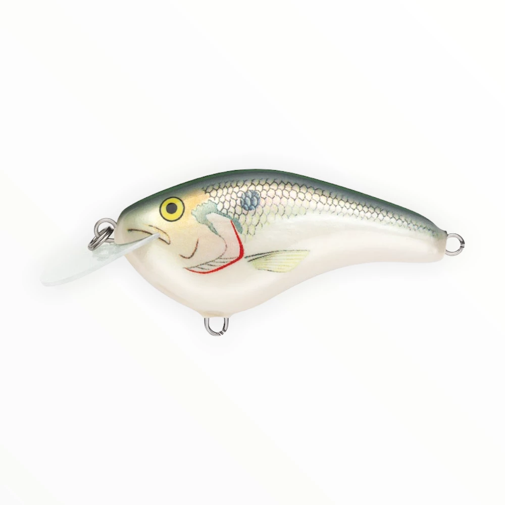 Rapala OG Slim Hard Baits 8 Rapala OG Slim Hard Baits