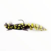 River 2 Sea Nest Raider Soft Baits