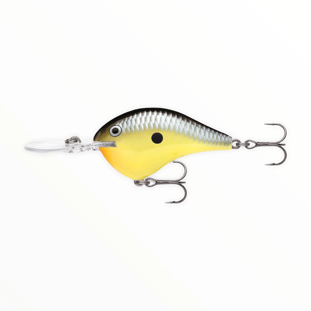 Rapala Dives-To (DT Series) 2 Rapala Dives-To (DT Series)