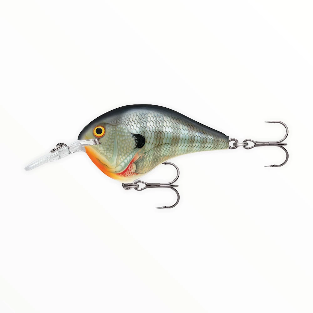 Rapala Dives-To (DT Series) 10 Rapala Dives-To (DT Series)