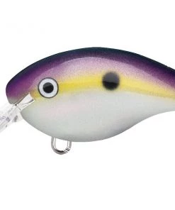 Rapala Dives-To (DT Series) 65 Rapala Dives-To (DT Series)