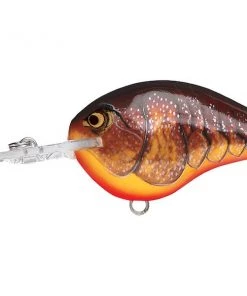 Rapala Dives-To (DT Series) 70 Rapala Dives-To (DT Series)