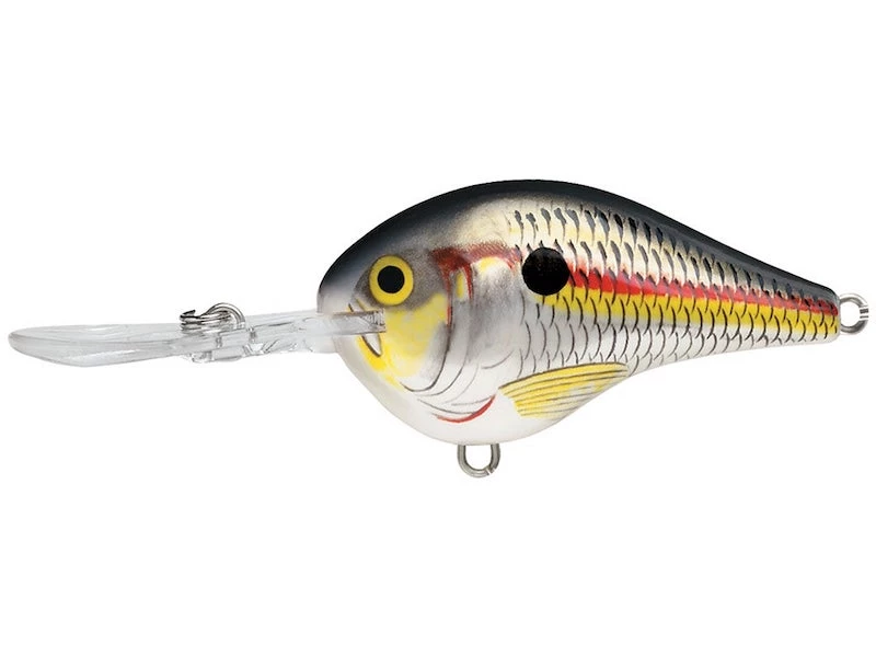 Rapala Dives-To (DT Series) 29 Rapala Dives-To (DT Series)