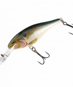 Rapala Shad Rap