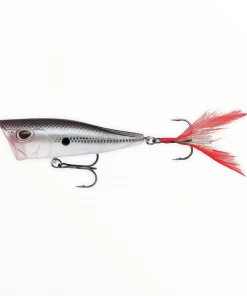 Storm Arashi Cover Pop