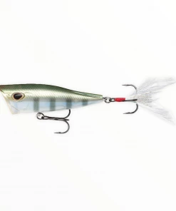 Storm Arashi Cover Pop