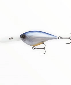 Storm Arashi Rattling Deep