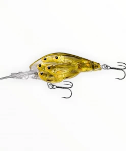 Live Target Shad Baitball