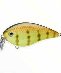 Strike King KVD Shallow Crankbait